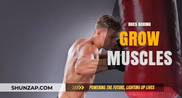Boxing and Muscle Growth: Unveiling the Truth Behind the Gloves
