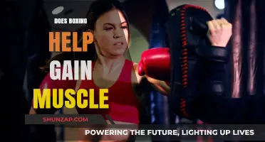 Boxing for Muscle Gain: Effective Workout or Just Cardio?