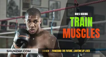 Boxing's Muscle Training Benefits: What You Need to Know