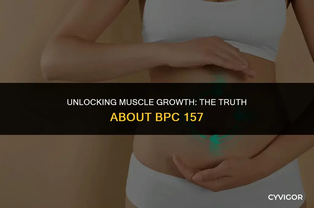 does bpc 157 build muscle