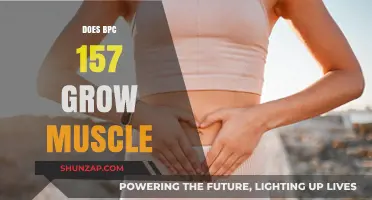 BPC 157 and Muscle Growth: Fact or Fiction?