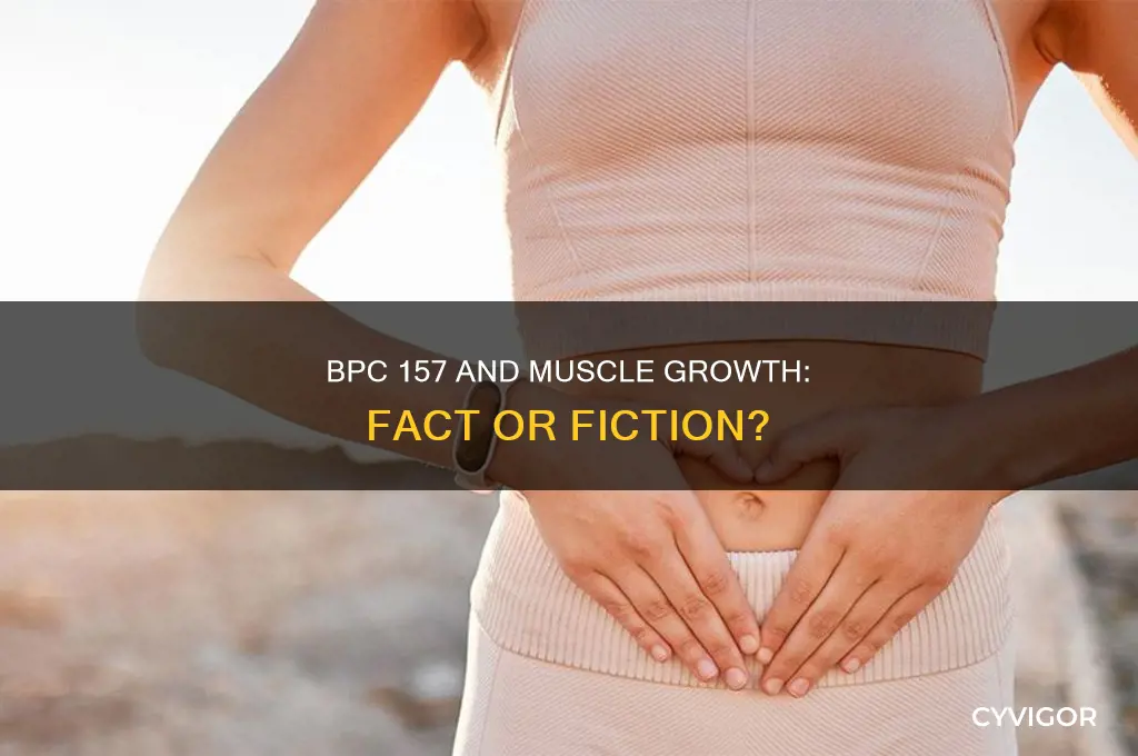 does bpc 157 grow muscle