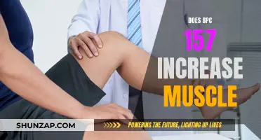 BPC 157's Impact: Can It Increase Muscle Growth?