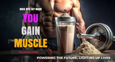 Can BPC 157 Boost Muscle Growth? Exploring Its Effects
