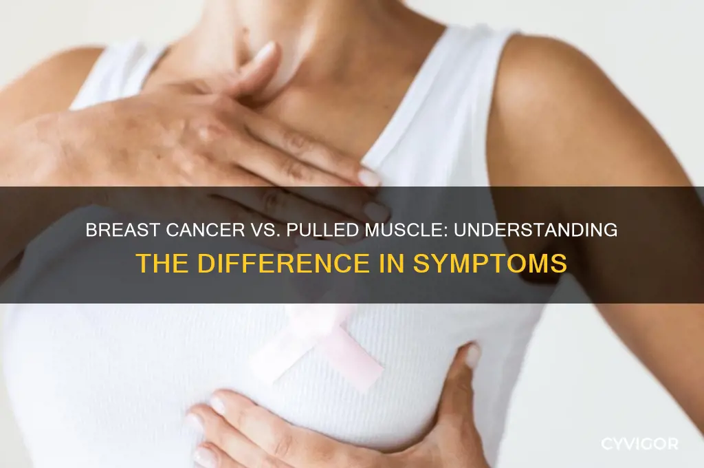 does breast cancer feel like a pulled muscle