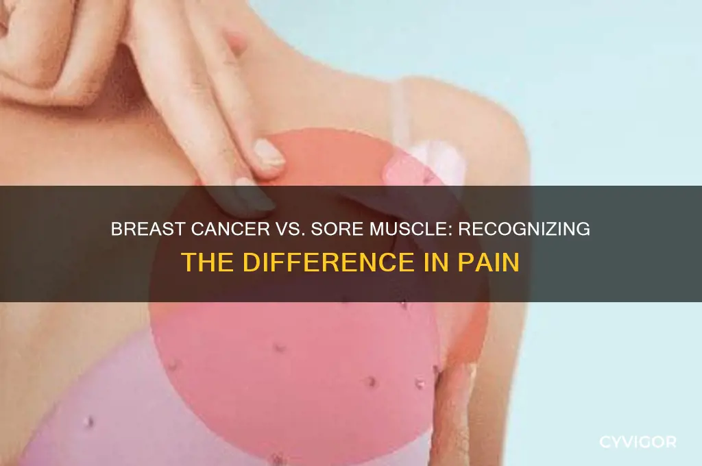 does breast cancer feel like a sore muscle