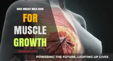 Breast Milk and Muscle Growth: Unlocking the Surprising Benefits