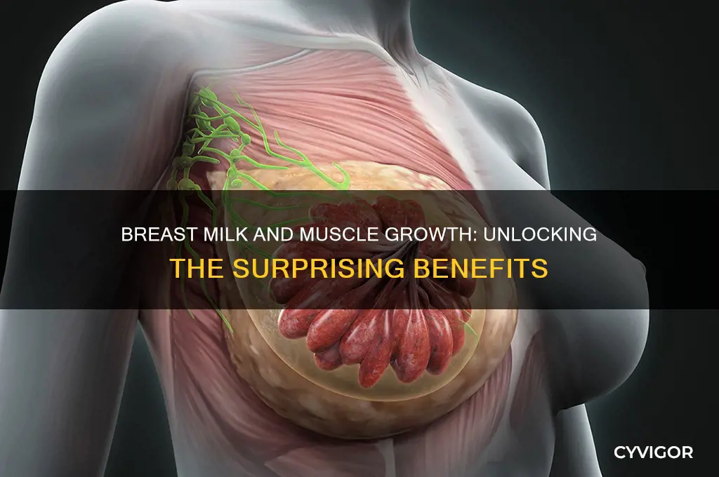 does breast milk good for muscle growth