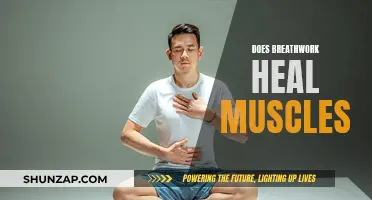 Breathwork's Healing Powers: Muscle Recovery and Performance