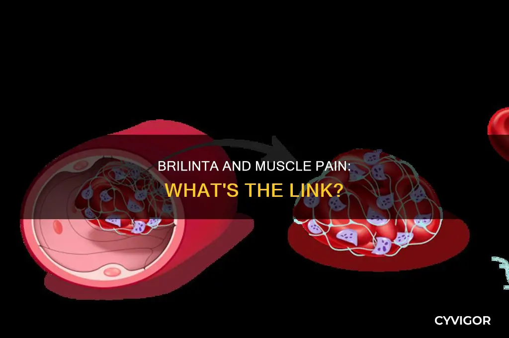 does brilinta cause muscle pain