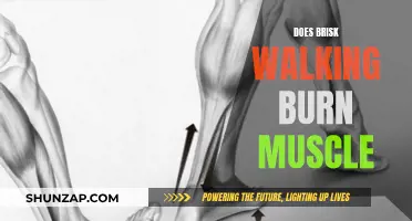 Walking Briskly: Burning Calories, Not Muscles