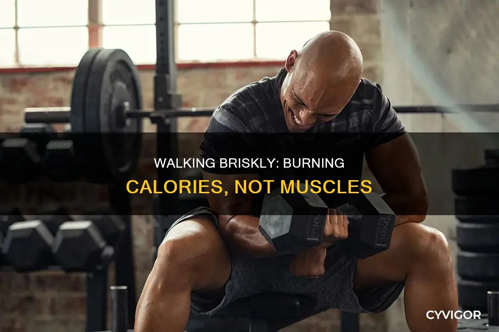 does brisk walking burn muscle