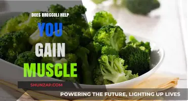 Can Broccoli Boost Muscle Growth? Nutrition Facts and Benefits Revealed