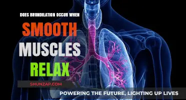 Bronchodilation Explained: How Smooth Muscle Relaxation Opens Airways