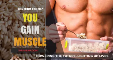 Brown Rice and Muscle Gain: A Nutritional Powerhouse for Fitness Enthusiasts?