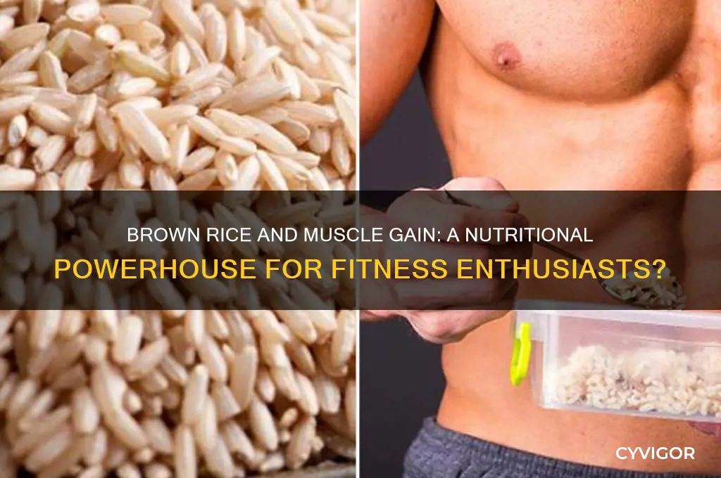does brown rice help you gain muscle