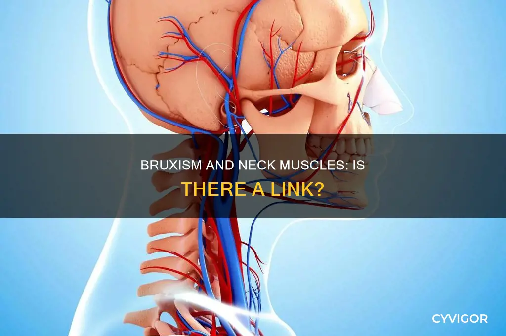 does bruxing cause lax neck muscles