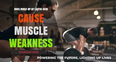Lactic Acid: Friend or Foe for Muscles?