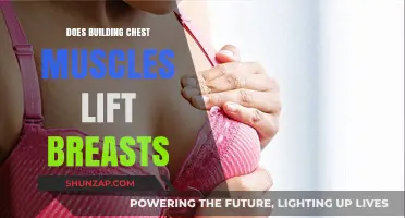 Does Building Chest Muscles Lift Breasts? The Truth Revealed