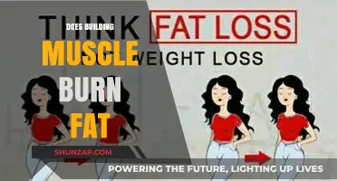 The Truth About Building Muscle and Burning Fat: Debunking Myths