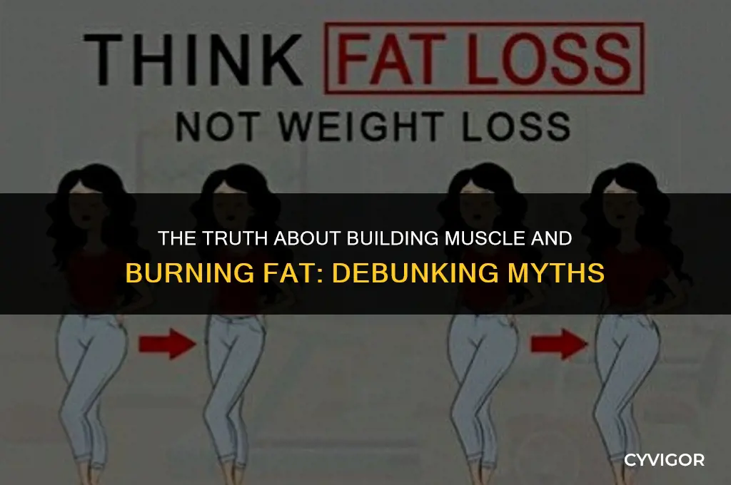 does building muscle burn fat
