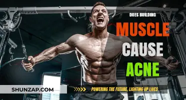 Building Muscle and its Acne Connection