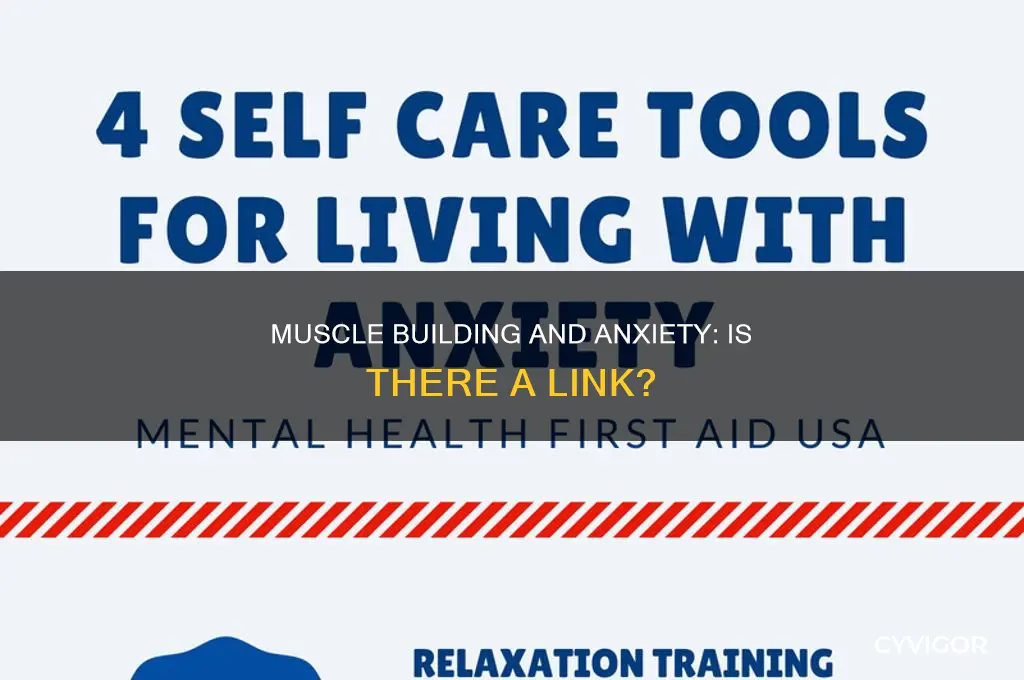 does building muscle cause anxiety