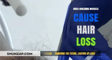 Building Muscle: Does it Cause Hair Loss?