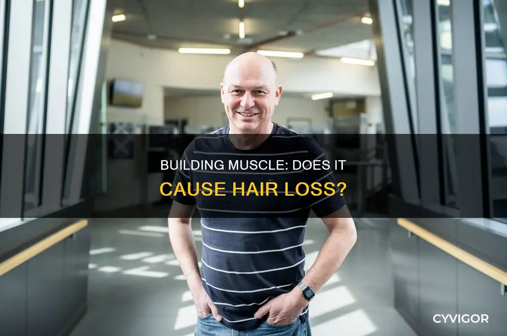 does building muscle cause hair loss