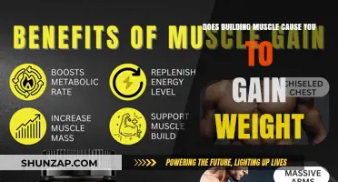 Building Muscle: Gaining Weight or Losing It?