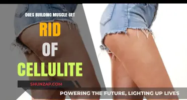 Sculpting Away Cellulite: The Truth About Muscle Building and Dimples