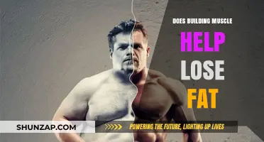 Muscle Building and Fat Loss: Unraveling the Connection