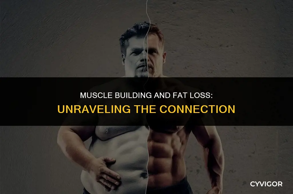 does building muscle help lose fat