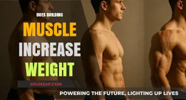 Does Building Muscle Increase Weight? The Surprising Truth