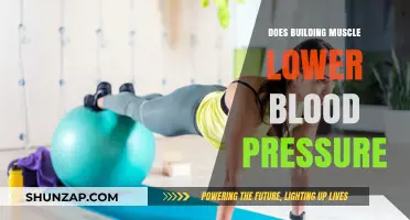Strength Training and Hypertension: Can Building Muscle Help Lower Blood Pressure?