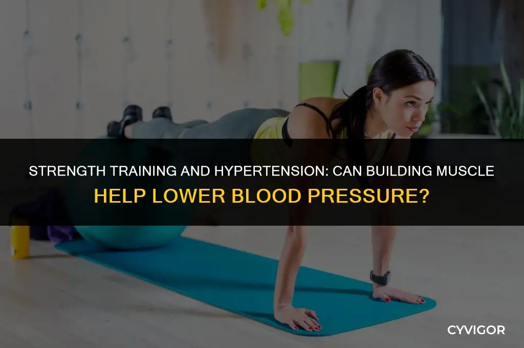 does building muscle lower blood pressure