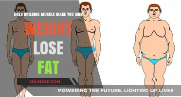 Muscle Building: Weight Gain or Fat Loss? Unraveling the Truth