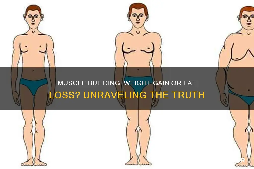 does building muscle make you gain weight lose fat