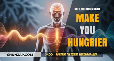 Does Building Muscle Increase Your Appetite? The Science Explained