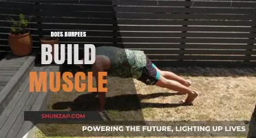 Burpees: The Full-Body Workout That Builds Muscle and Burns Fat