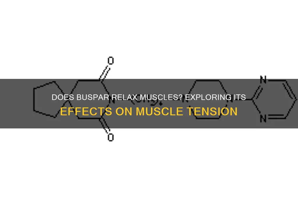 does buspar relax muscles