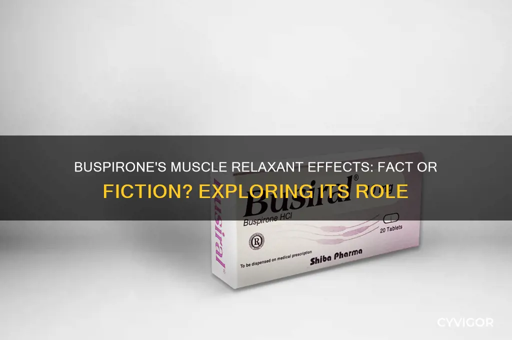 does buspirone have muscle relaxant
