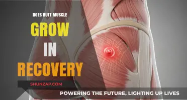 Butt Muscle Growth During Recovery: Fact or Fiction?