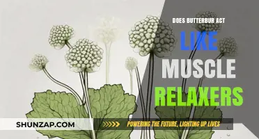 Butterbur's Muscle Relaxant Effects: A Natural Alternative to Medication?