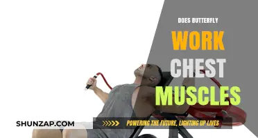 Butterfly Exercise: Effective Chest Muscle Workout or Myth?