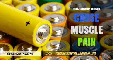 Cadmium Toxicity: Muscle Pain and Its Link