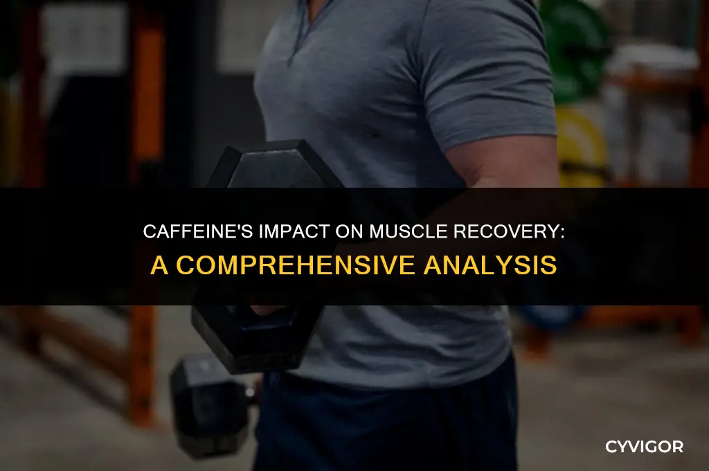 does caffeine affect muscle recovery