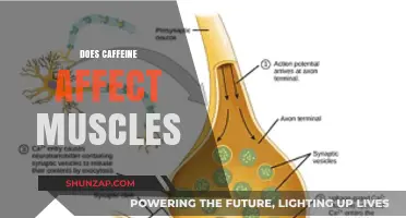 Exploring Caffeine's Impact on Muscle Performance and Recovery