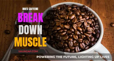 Caffeine's Impact on Muscle Breakdown: Friend or Foe?