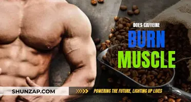 Caffeine's Impact: Does it Burn Muscle or Aid Growth?